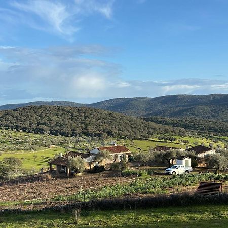 Casas Rurales Los Llanos Fuentes de León Dış mekan fotoğraf