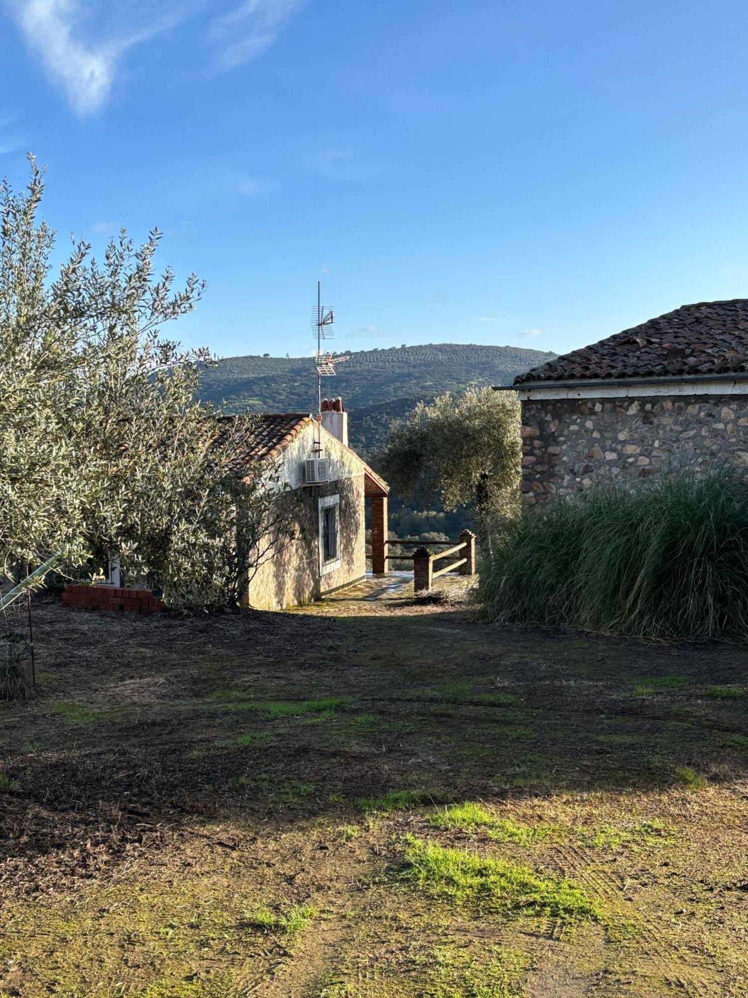 Casas Rurales Los Llanos Fuentes de León Dış mekan fotoğraf