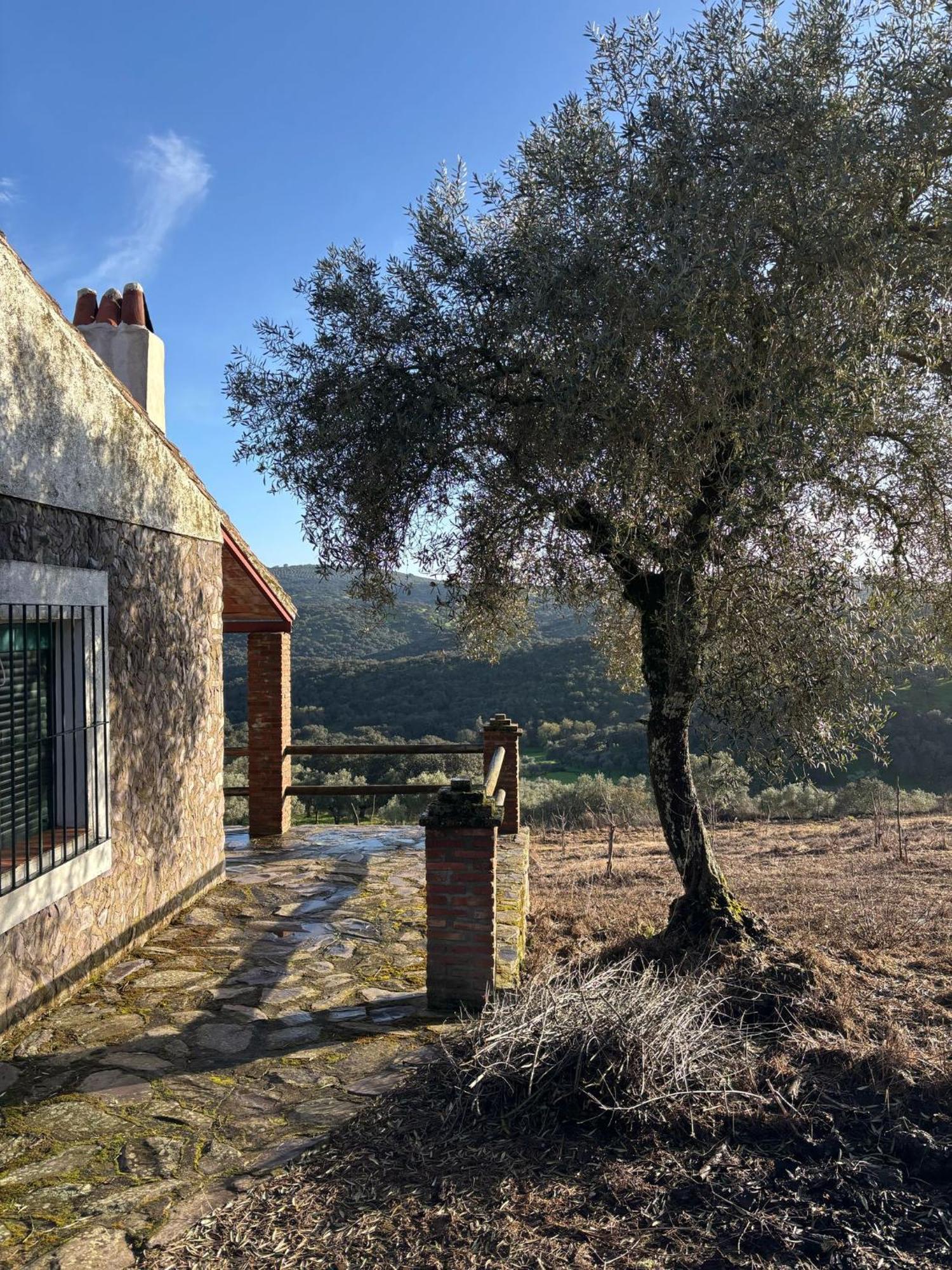 Casas Rurales Los Llanos Fuentes de León Dış mekan fotoğraf