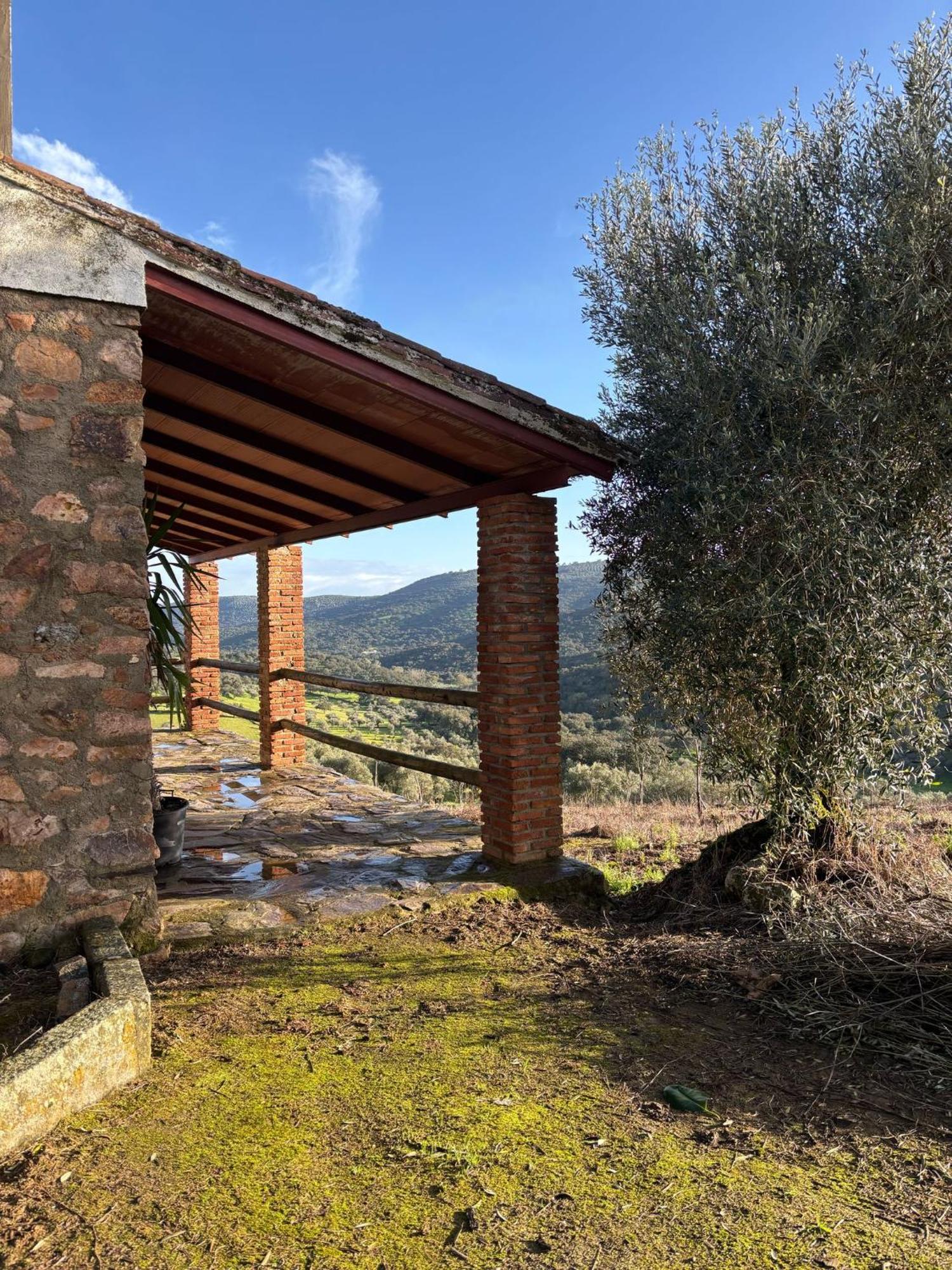 Casas Rurales Los Llanos Fuentes de León Dış mekan fotoğraf