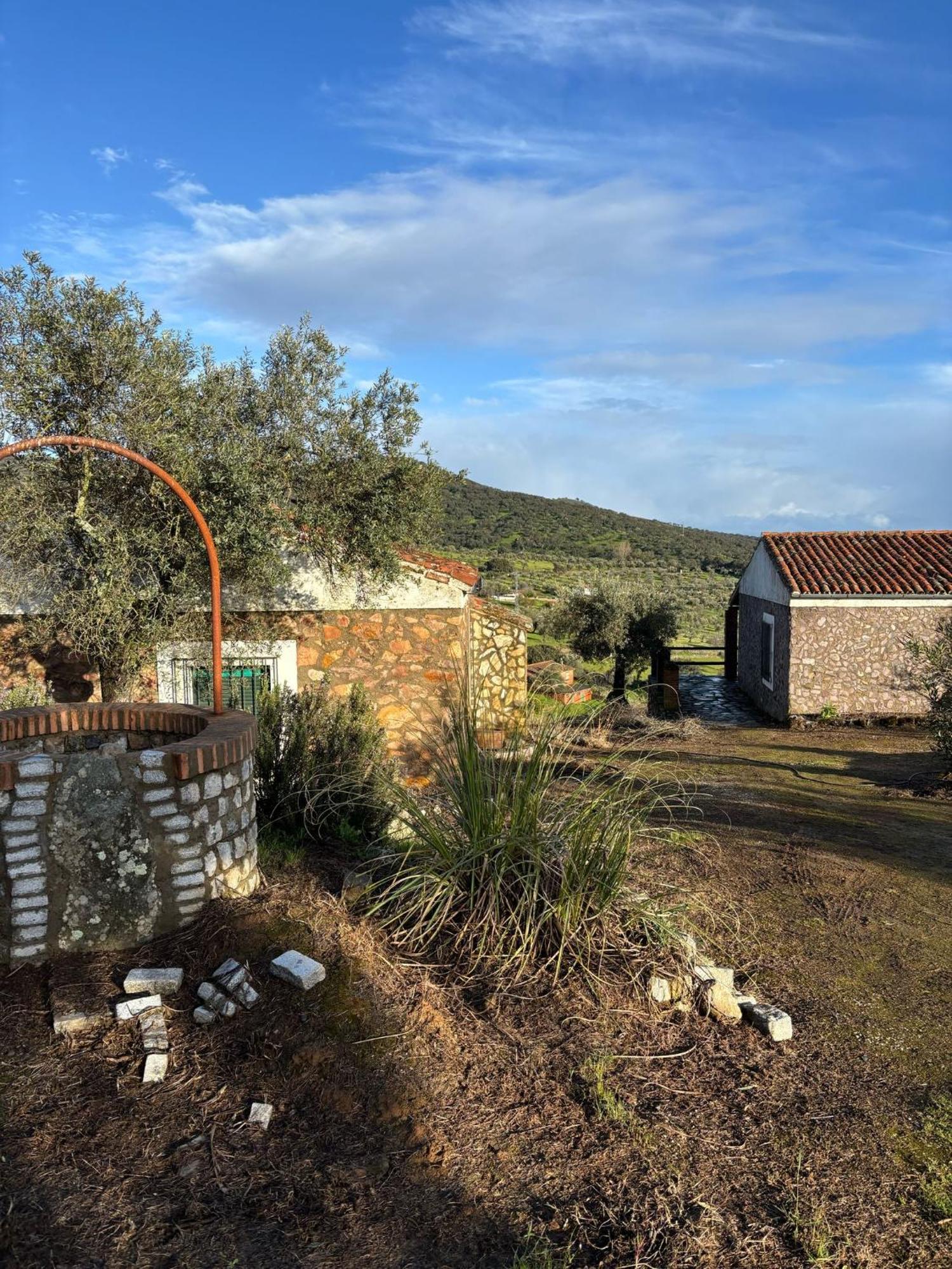 Casas Rurales Los Llanos Fuentes de León Dış mekan fotoğraf