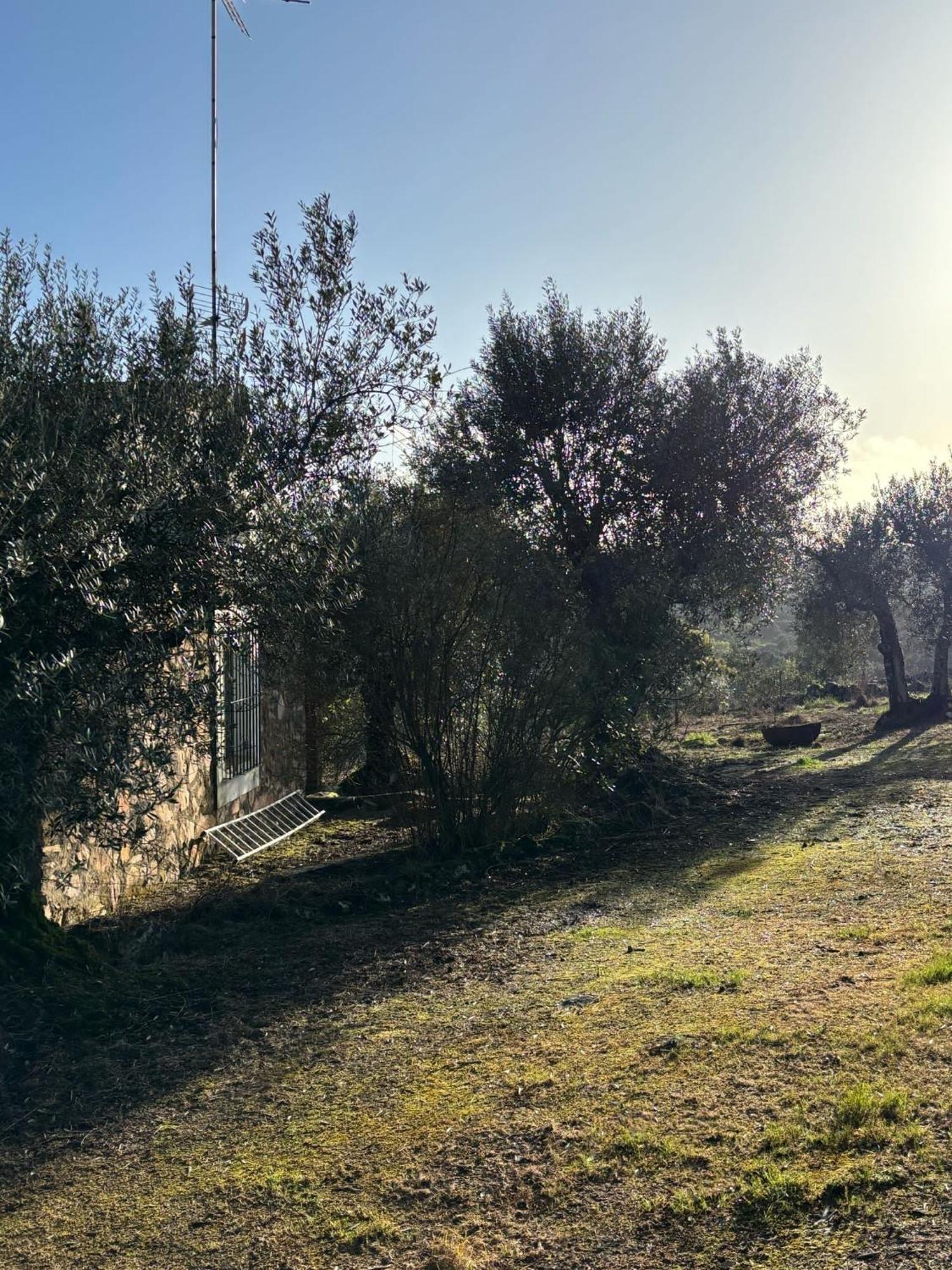 Casas Rurales Los Llanos Fuentes de León Dış mekan fotoğraf