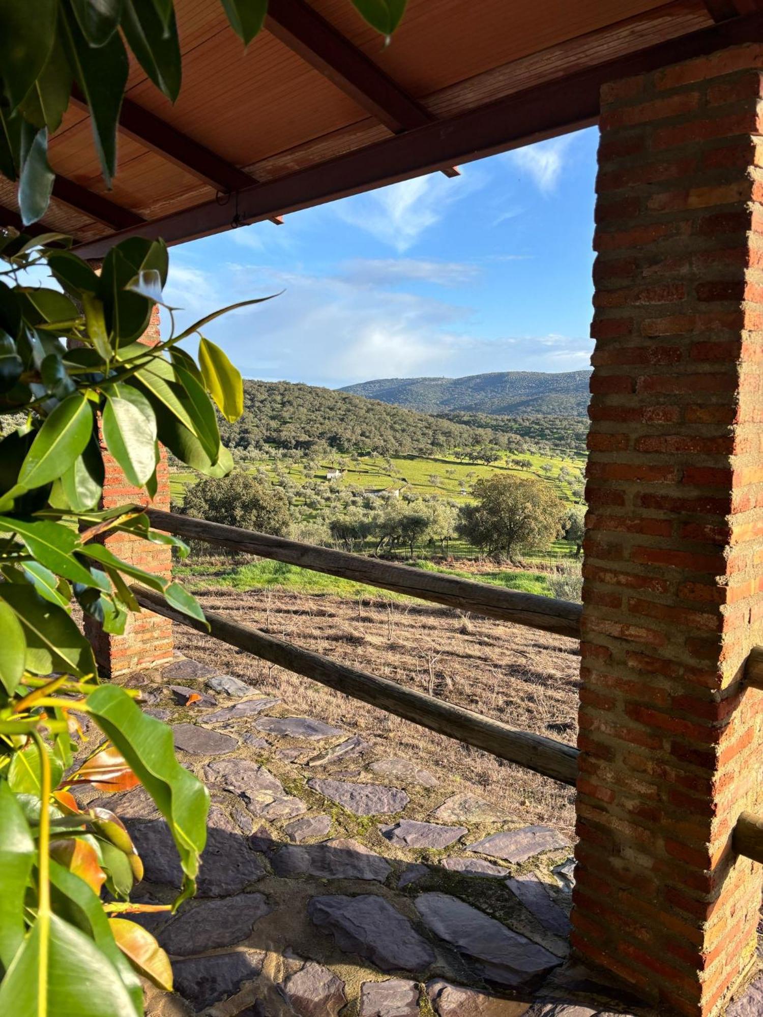 Casas Rurales Los Llanos Fuentes de León Dış mekan fotoğraf