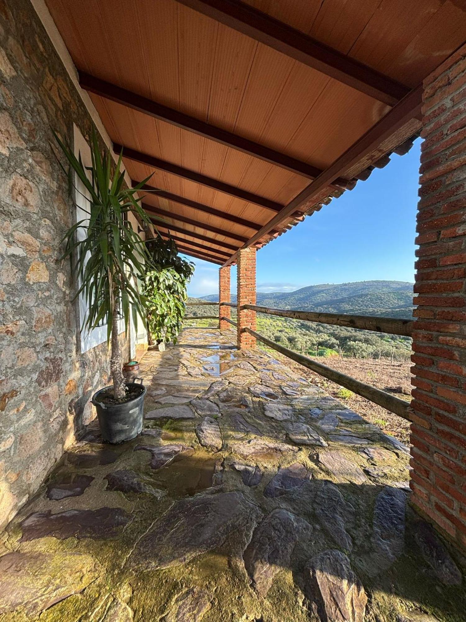 Casas Rurales Los Llanos Fuentes de León Dış mekan fotoğraf
