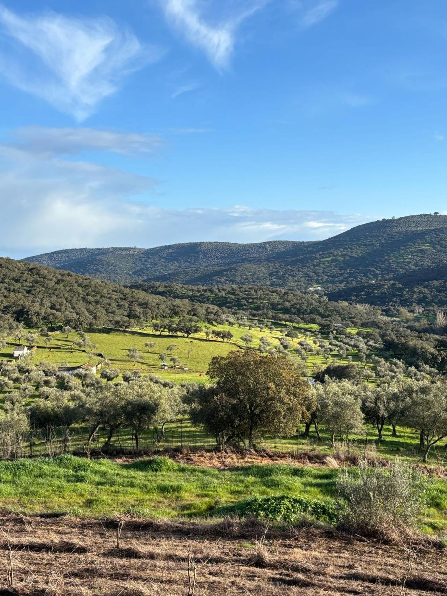 Casas Rurales Los Llanos Fuentes de León Dış mekan fotoğraf