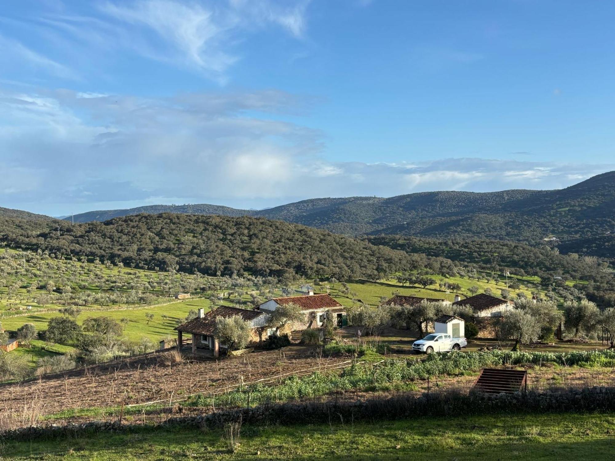 Casas Rurales Los Llanos Fuentes de León Dış mekan fotoğraf